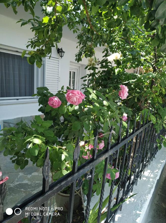 Ferienwohnung Chrysanty'S Tea House Kalambaka Exterior foto